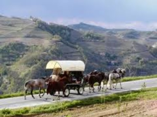 &quot;Il Viaggio dei Cartunè&quot; attraverso le vie del sale arriva in Liguria