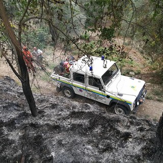 Incendio boschivo a Stellanello: al via la bonifica