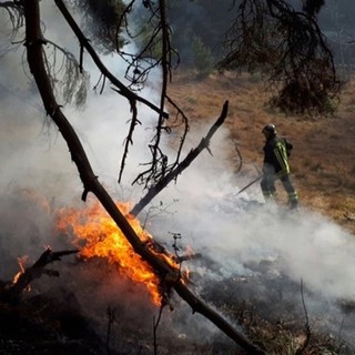 Incendio boschivo tra Bagnasco e Massimino: ore di lavoro per i vigili del fuoco