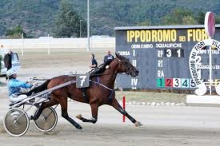 La calda estate dell'Ippodromo dei Fiori