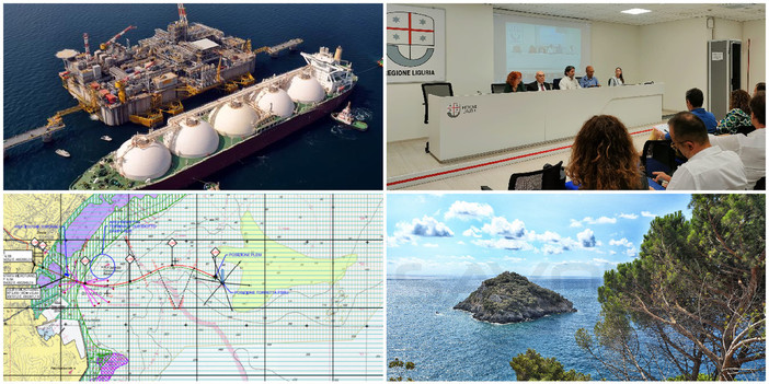 Rigassificatore, sull'impatto ambientale  i tecnici rassicurano: &quot;Nessun habitat di interesse comunitario coinvolto&quot;