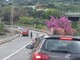 Savona, incidente in via Bonini: mobilitata la polizia locale (FOTO)