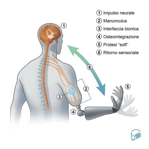 IIT: 10 milioni dall’Europa per progettare gli arti bionici del futuro