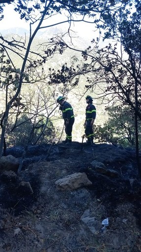 Incendio a Zuccarello, Mai (Lega): &quot;Un grande lavoro dei volontari, adesso non bisogna abbassare la guardia&quot;
