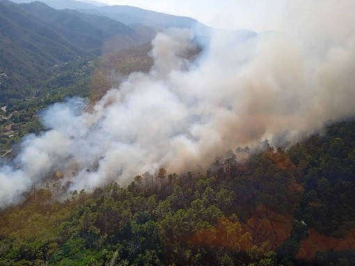 Incendi, Coldiretti: &quot;+170% di roghi in Italia nel 2022&quot;