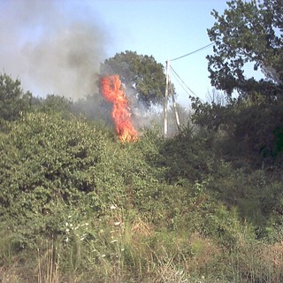 Rogo nel finalese: condannato a tre mesi per incendio colposo