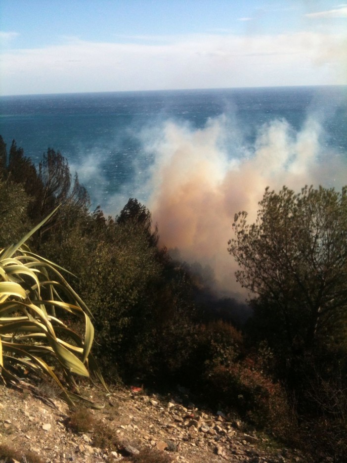 Andora, incendio in regione Rollo: il vento ostacola le operazioni di spegnimento (FOTO e VIDEO)