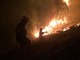 Incendi boschivi a Stella e Urbe: notte di duro lavoro per i vigili del fuoco