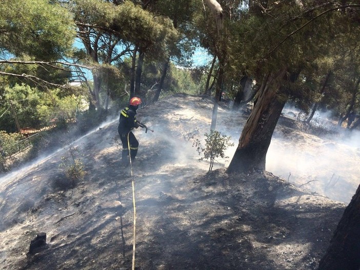 Incendi boschivi: cessato stato di grave pericolosità