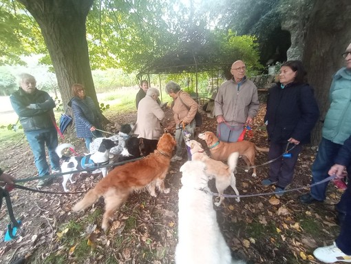 Albisola, incontro al Parco dell'Accoglienza: verrà realizzata una area canina perimetrata