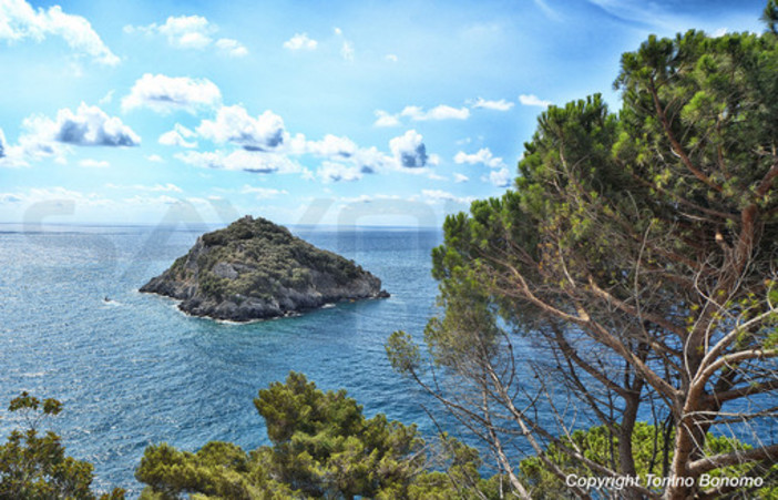 Biodiversità nelle aree protette, approvati i progetti per valorizzazione e monitoraggio nelle ZSC della Liguria
