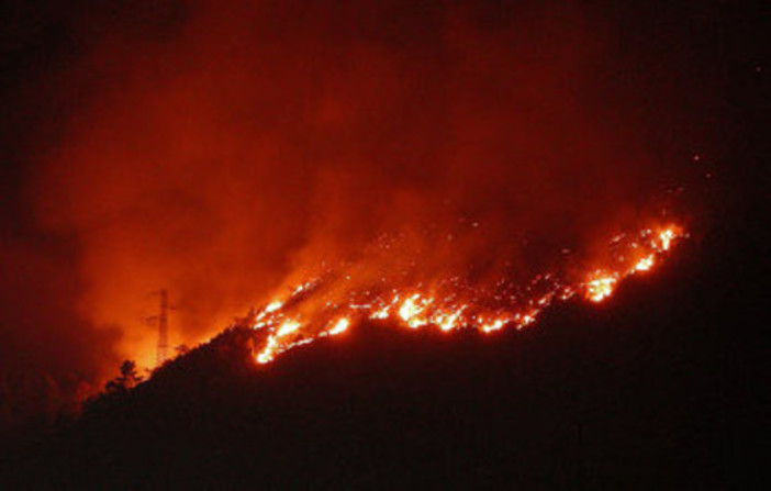 Incendio boschivo nella notte a Varazze, domato dopo due ore di intervento dei Vigili del Fuoco