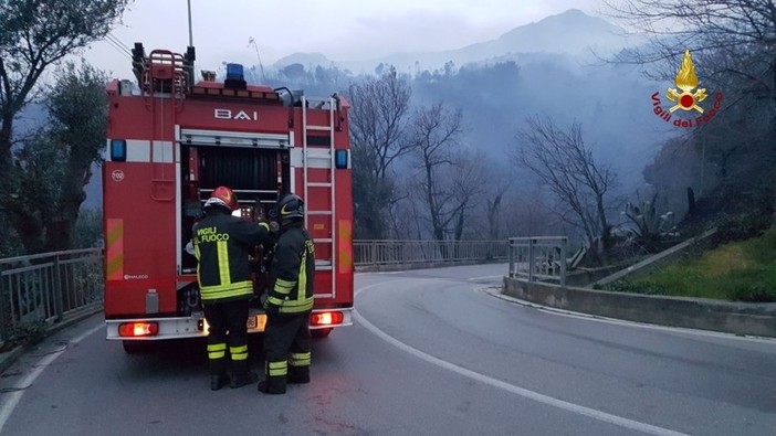 Incendio di Cogoleto, l'Ordine degli agronomi: &quot;Servono diradamento e pulizia&quot;