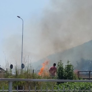 Borghetto Santo Spirito, incendio nei pressi del casello autostradale: intervento dei vigili del fuoco