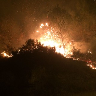 Continua a bruciare il savonese: questa notte nuovo incendio sulle alture di Testico