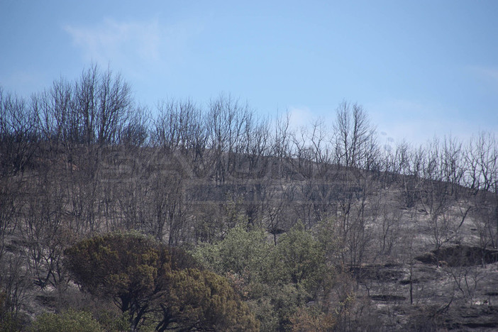 Incendio nell'albenganese: situazione sotto controllo, iniziata la bonifica