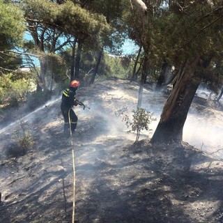 Incendi boschivi: approvato schema di protocollo d’intesa tra Liguria, Lombardia e Piemonte