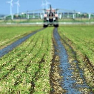 Imu agricola la preoccupazione delle aziende: lettera aperta a Burlando di &quot;Insieme per cambiare&quot;