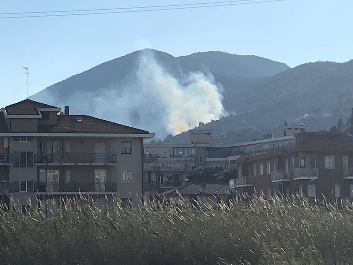 Sotto controllo l'incendio boschivo divampato tra Albenga e Alassio (FOTO)