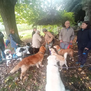 Albisola, incontro al Parco dell'Accoglienza: verrà realizzata una area canina perimetrata