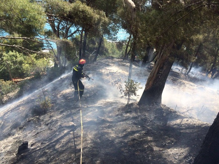 Incendio boschivo a Capo Mimosa, al confine tra la Provincia di Savona e Imperia