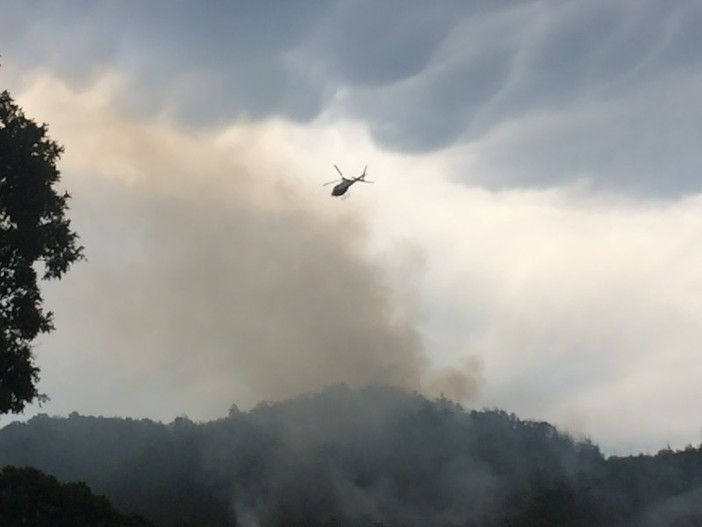 Liguria devastata da incendi, Conapo &quot;Necessaria convenzione con i Vigili del Fuoco&quot;