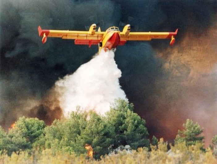 Incendi in Provincia di Savona, Enpa &quot;Catastrofe per gli animali&quot;