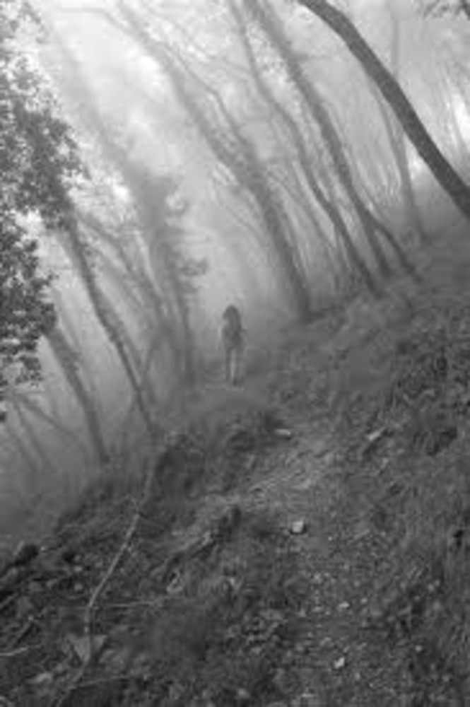 Concorso fotografico &quot;Scatto in Val Varatella&quot;