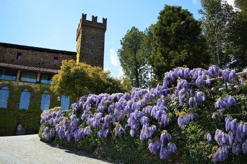 Castelli e ville da sogno, ma anche immobili per aziende e da investimento.  Scopriamole insieme!