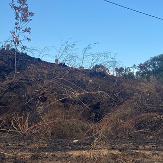 Spento il rogo nell'albenganese, il sindaco di Arnasco: &quot;Teniamo alta l'attenzione, rischio incendi sempre alto e emergenza idrica non è finita&quot;