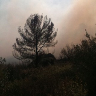 Andora devastata dalle fiamme, Capo Mimosa aperto a &quot;singhiozzo&quot;