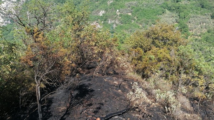 Dichiarato ufficialmente spento dopo una notte l'incendio nei boschi di Zuccarello