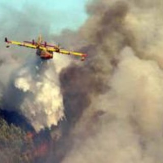 Cengio: incendio boschivo nei pressi della stazione: Intervengono Forestale e Vigili del Fuoco