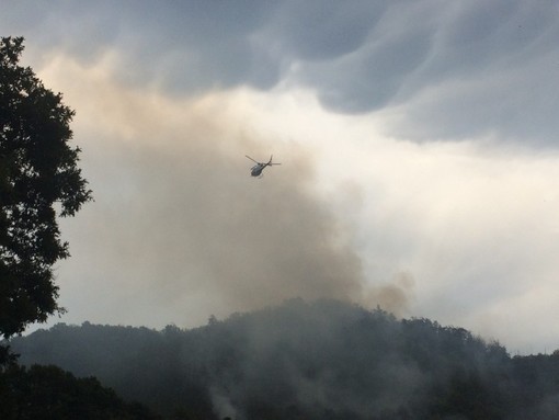 Emergenza incendi, Legambiente Liguria: &quot;In sei anni bruciati oltre 7000 ettari&quot;