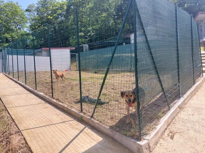 Cadibona, inaugurata la nuova struttura Enpa per gli animali randagi e selvatici (FOTO E VIDEO)