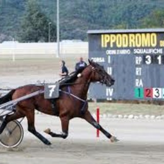 La calda estate dell'Ippodromo dei Fiori