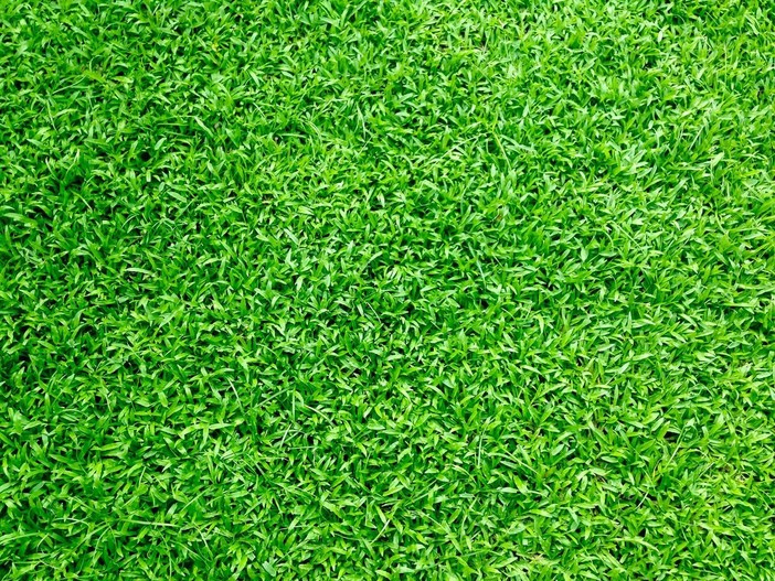 La verde rivoluzione: vantaggi e guida all'installazione dell'erba sintetica