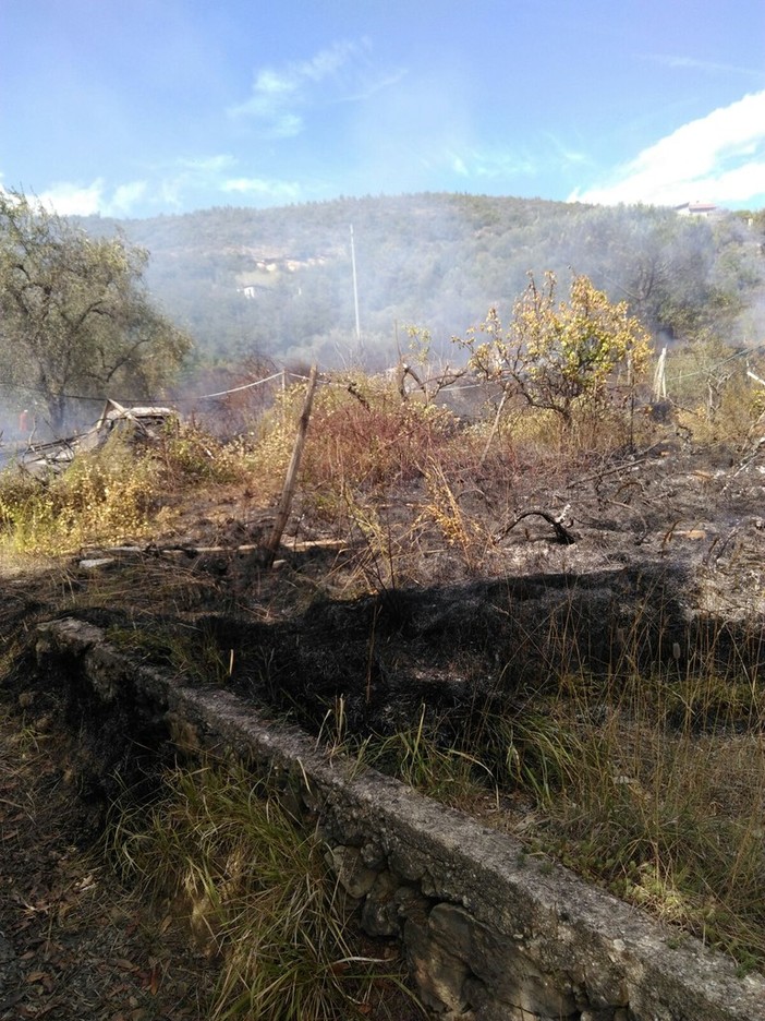 Domato l'incendio boschivo ad Erli, ma verrà presidiato tutta la notte