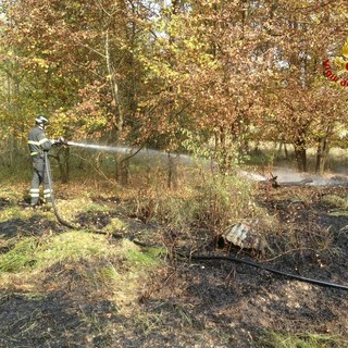 Plodio, incendio di sottobosco in località Piani