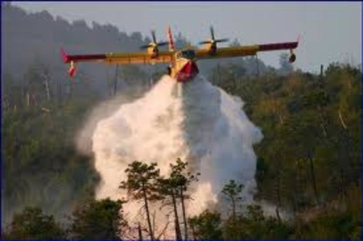 Attivato un Numero Verde antincendi boschivi: 800 - 807047. Ma altre sono le priorita' per i Vigili del Fuoco