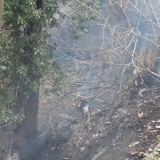 Incendio boschivo ad Alpicella: trovato un corpo carbonizzato (FOTO e VIDEO)