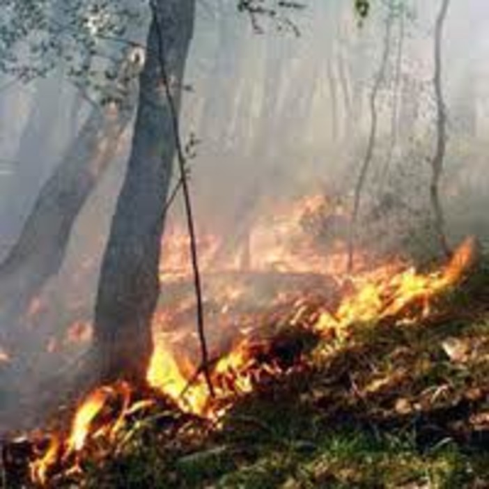 Permane lo stato di Grave Pericolosita' incendi boschivi per la provincia di Savona