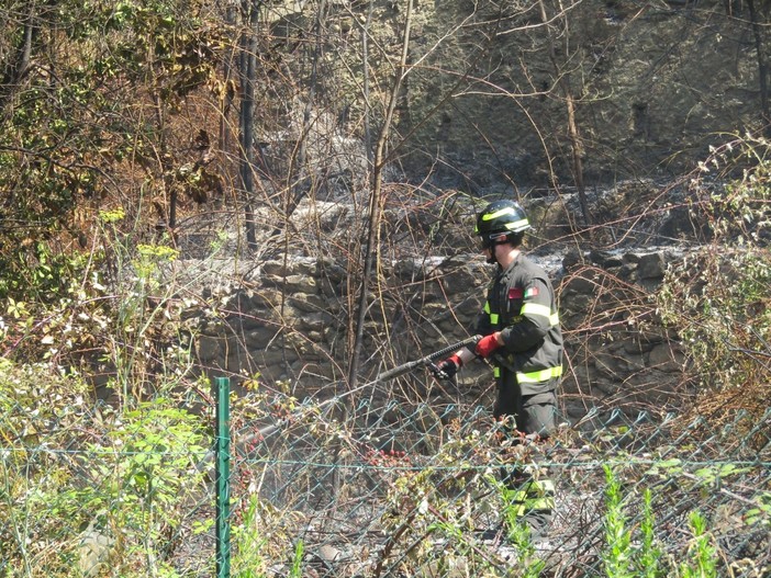 Savona, incendio di sterpaglie in via Beato Antonio Botta: intervento dei vigili del fuoco (FOTO)