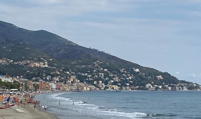 Alassio, i roghi fanno riscoprire l'importanza della cura dell'entroterra: &quot;Pulizia di boschi e sentieri la miglior tagliafuoco&quot;