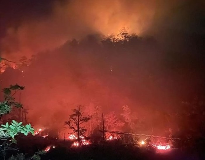 Savona, il sindaco firma un'ordinanza sullo stato di grave pericolosità per gli incendi boschivi