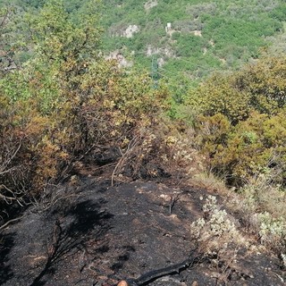 Dichiarato ufficialmente spento dopo una notte l'incendio nei boschi di Zuccarello