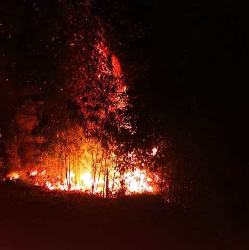 Incendio a Stella, intervento di vigili del fuoco e protezione civile: rogo domato (FOTO)