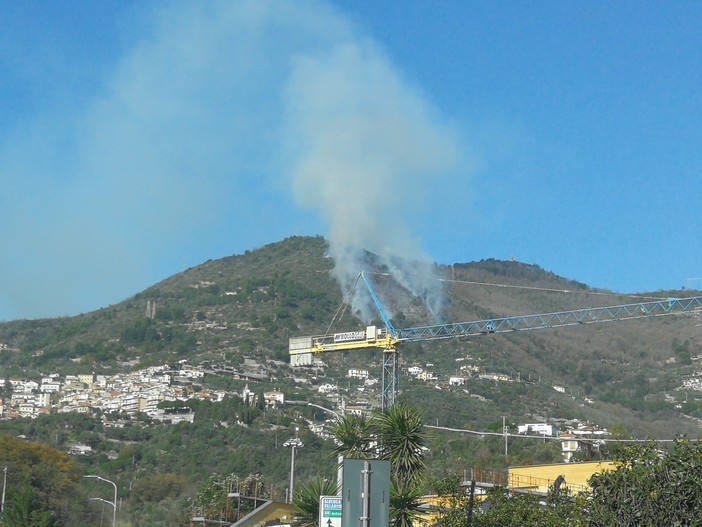 Fiamme sulle colline alle spalle di Alassio, Vigili del fuoco mobilitati a Moglio