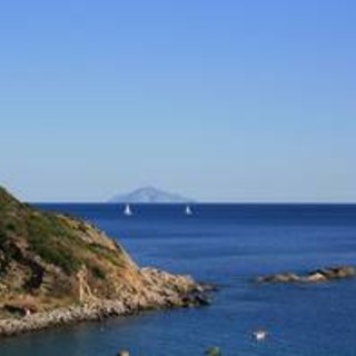 Metà dei fusti tossici non si trovano. Persi nell'isola di Gorgona