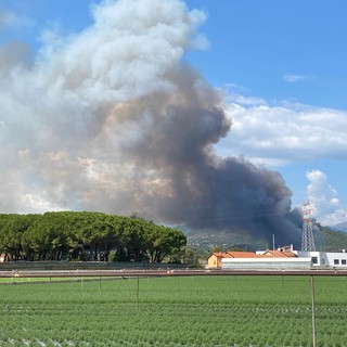 Cisano, vasto incendio boschivo sulle alture di Cisano: le fiamme minacciano le abitazioni (FOTO e VIDEO)